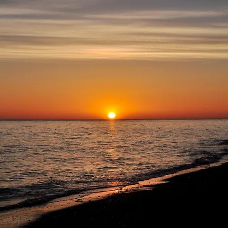 Delas Denia
